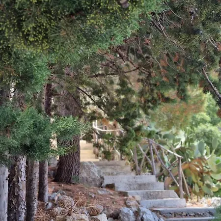 Tenuta Realforte